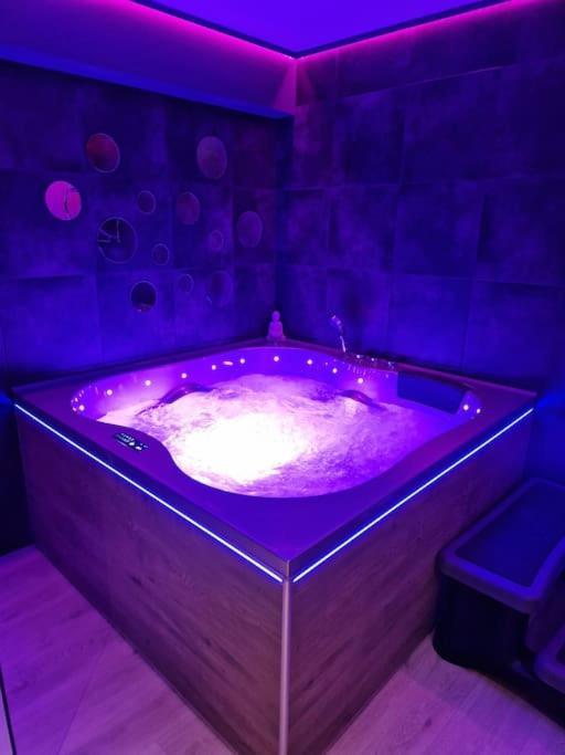 L'ecrin Duplex Balneo & Sauna Apartment Troyes