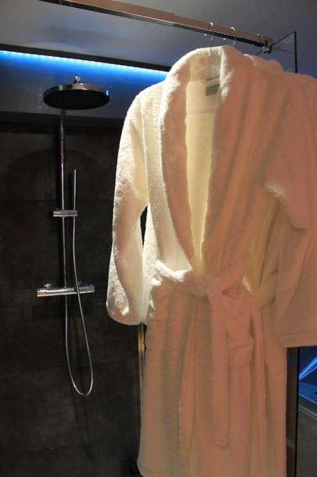 L'ecrin Duplex Balneo & Sauna * Troyes